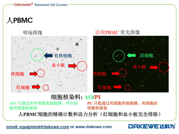 Auto2000細胞計數儀計數PBMC樣本案例