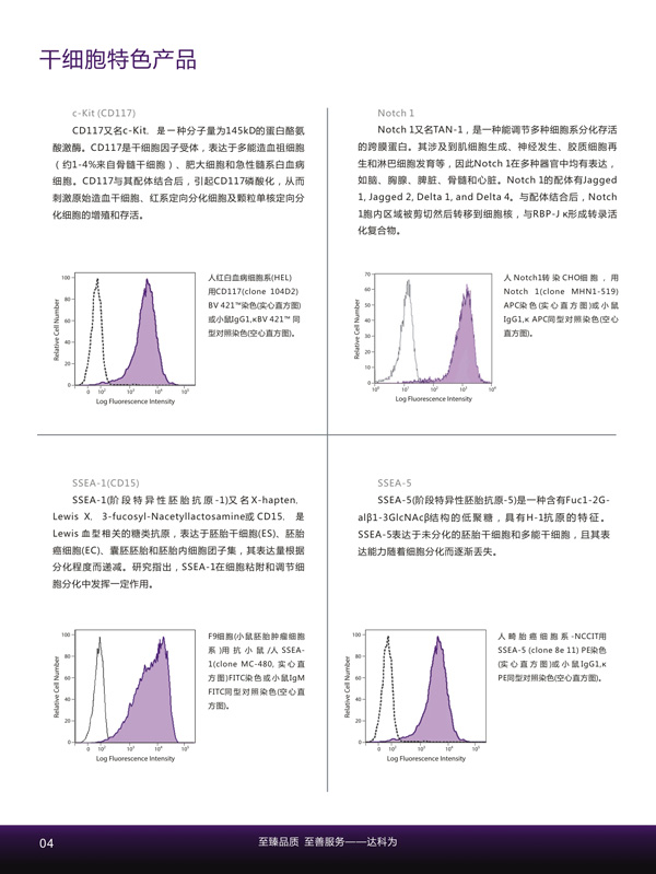 干細(xì)胞